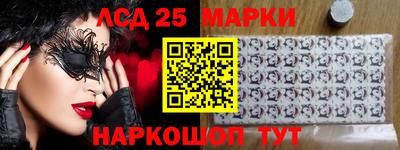 стаф Будённовск