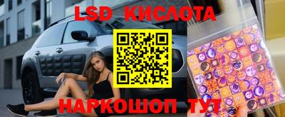стаф Будённовск