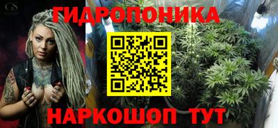 стаф Будённовск
